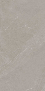 RHS Angers Taupe Advance Ret 60x120H0.85