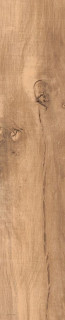 RHS Aspen Beige 20,5х100
