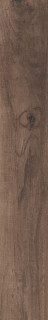 RHS Aspen Brown Strong 15х100
