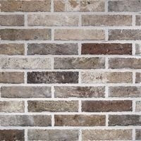 RHS Multicolor Brick 6х25