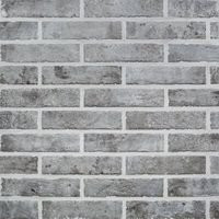 RHS Grey Brick 6х25