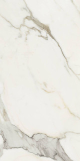 RHS Canova Calacatta Gold Matt Ret 60x120H0.85