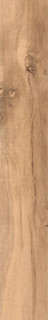RHS Aspen Beige Strong 15х100