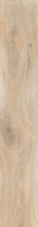 RHS Cortina Beige 24x120