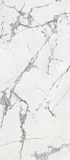 RHS Canova Invisible Lappato 120×280