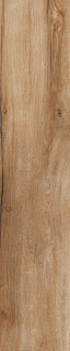 RHS Daring Nut 24x120