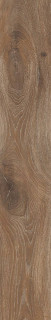 RHS Cortina Nut 24x120