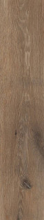 RHS Cortina Nut 7.5x45