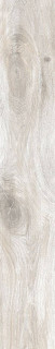RHS Cortina Ivory 24x120