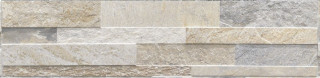 RHS Cubics Beige 15x61