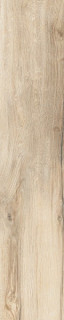 RHS Daring Ecru 24x120