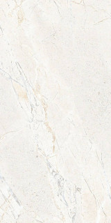 RHS Crust White Rett 60x120H0.85