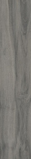 RHS Daring Dark 24x120