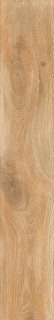 RHS Cortina Cognac 24x120
