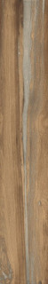 RHS Infusion Oak 24x150