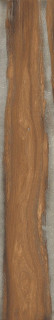 RHS Infusion Nut 24x150