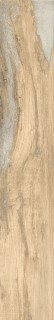 RHS Infusion Birch 24x150