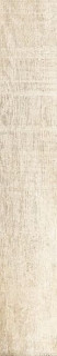 RHS Greenwood Beige 24х120