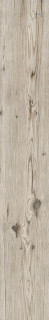 Living Tortora 15x100