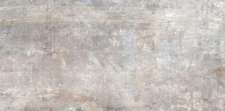 Rhs Murales Grey 40x80