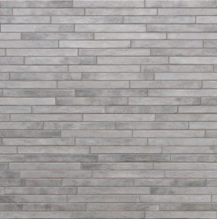 RHS Nolita Silver 4.8x45
