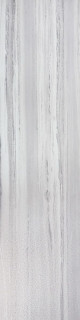 RHS Palissandro Light Grey 30x120