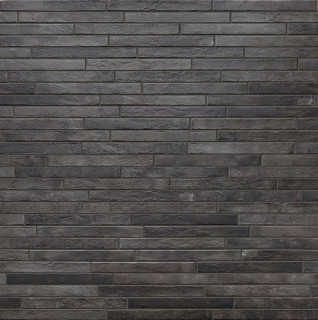 RHS Nolita Сharcoal 4.8x45