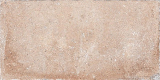 RHS Tuscany Certaldo 20.3x40.6