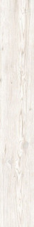 RHS Soft White 15x100