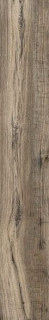 RHS Soft Ash 15х100