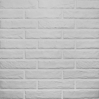 RHS Tribeca White Brick 6х25
