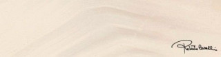 Roberto Cavalli Agata Bianco Lapp. Firma 100х25