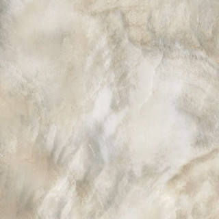 Roberto Cavalli Bright Pearl Bronze Rett 80x80