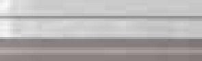 Roberto Cavalli Bright Pearl Snow Torello Rett 6х19,8