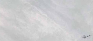 Roberto Cavalli Bright Pearl Snow Firma Rett 80х180
