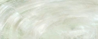 Roberto Cavalli Bright Pearl Ivory Rett 80x180
