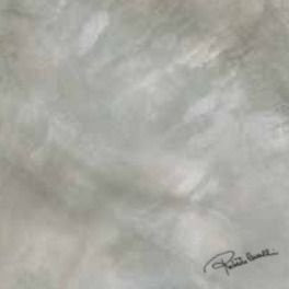 Roberto Cavalli Bright Pearl Silver Firma Rett 80х80