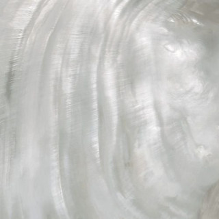 Roberto Cavalli Bright Pearl Silver Rett 80x80