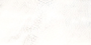 Roberto Cavalli Giaguaro Mask Bianco Lapp. Rett. 60х120