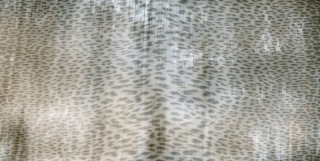 Roberto Cavalli Giaguaro Mask Nero Rett. 60х120