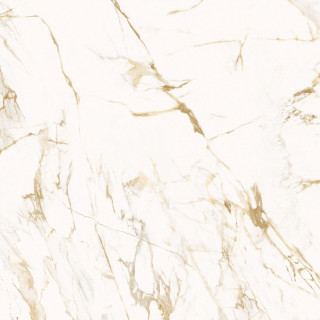 Roberto Cavalli Lush Cal.Oro Lux 59,4x59,4