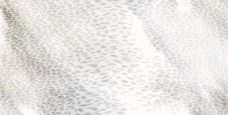 Roberto Cavalli Giaguaro Mask Grigio Rett. 60х120