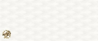 Roberto Cavalli Natural Deco White (Logo) 32x75