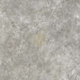 Roberto Cavalli Metal Soul Steel Logo Araldico 80x80