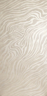 Roberto Cavalli Metal Soul Zebra Platinum 60x120