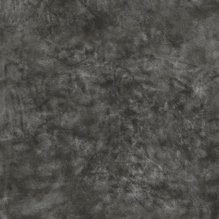 Roberto Cavalli Metal Soul Titanium Firma Lp 80x80