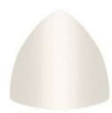 Roberto Cavalli Natural An.Copr.White 12x12