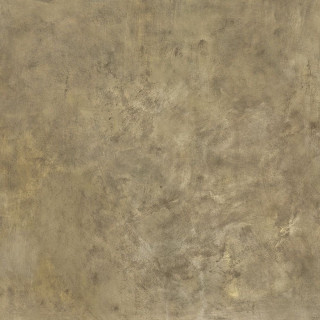 Roberto Cavalli Metal Soul Brass Firma Lp 80x80