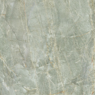 Roberto Cavalli Lush Onice Verde Lux 59,4x59,4