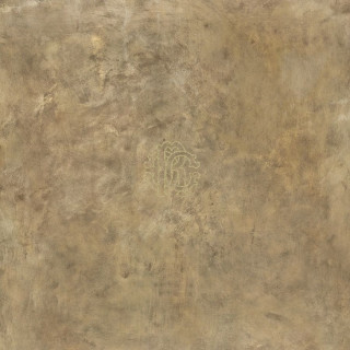 Roberto Cavalli Metal Soul Brass Logo Araldico 80x80